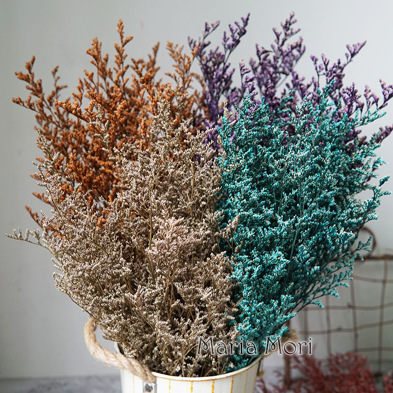 70g/Konserviertes Valentinstag – Eucalyptus Preserved Bewertung und Preis
