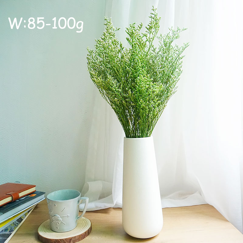 70g/Konserviertes Valentinstag – Eucalyptus Preserved Bewertung und Preis