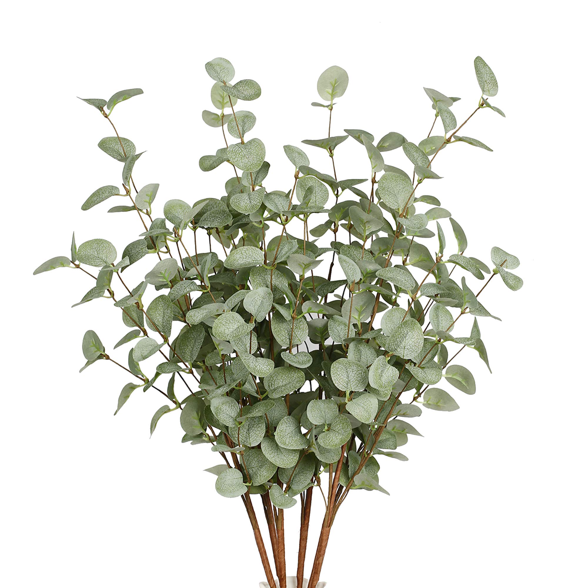 Künstliche Eukalyptus-Stiele,  – Eucalyptus Preserved Bewertung und Preis