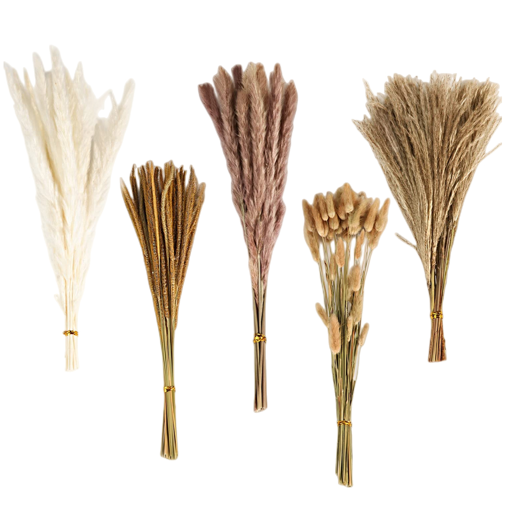 Herbstlicher Vintage-Mischblum – Eucalyptus Preserved Bewertung und Preis