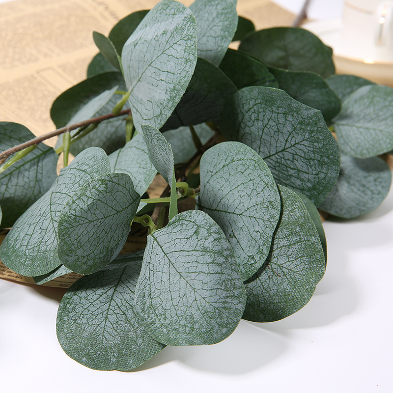 1 Stück Künstlicher Eukalyptus – Eucalyptus Preserved Bewertung und Preis