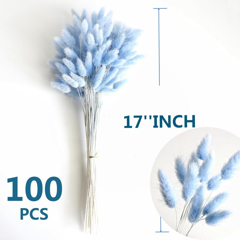 100 Stück blauer Häschen-Schwa – Eucalyptus Preserved Bewertung und Preis